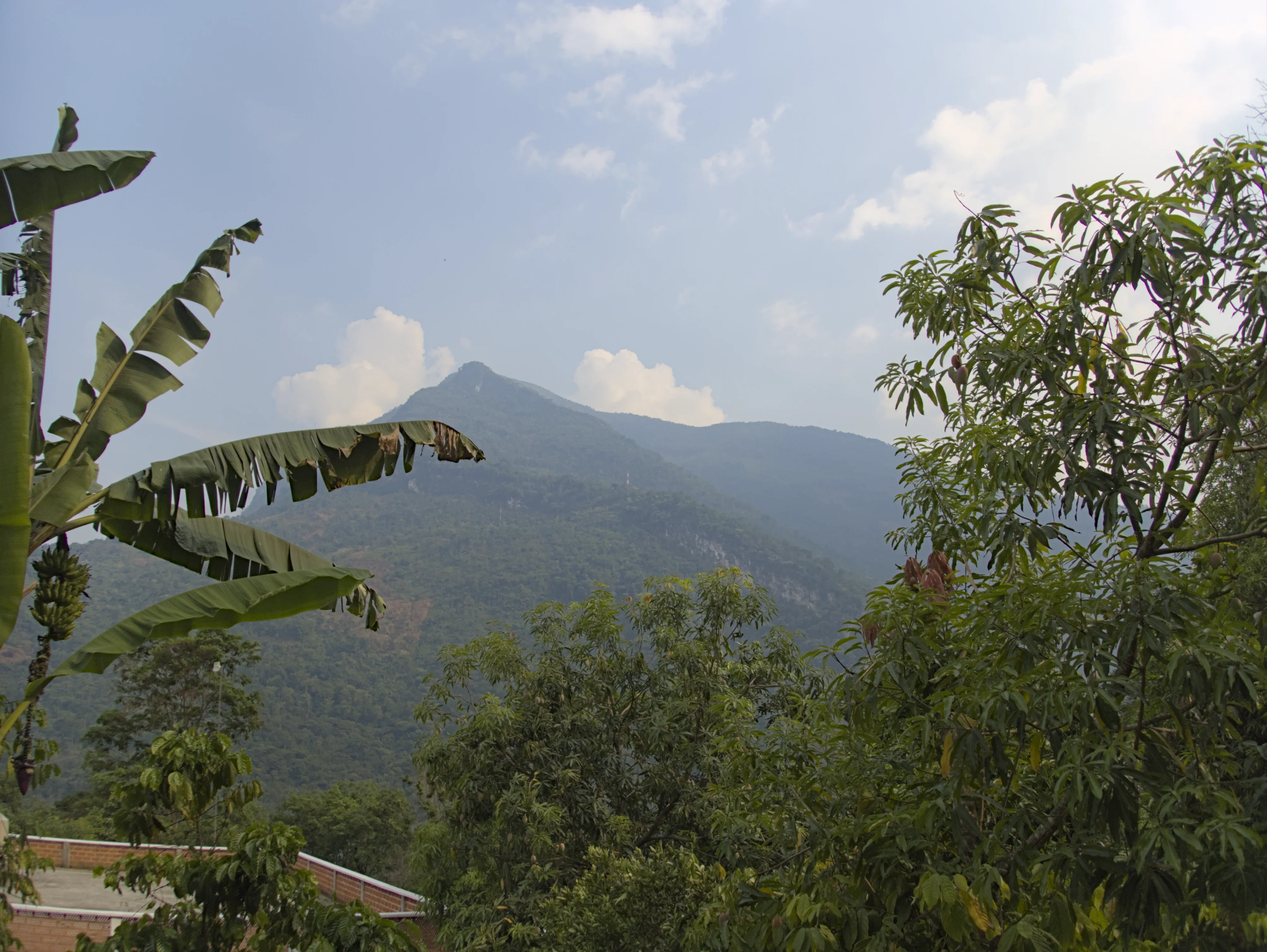 The view from Cuahuixtlahuac